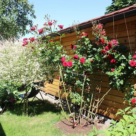 Sveciu Namai Dzukai Гостевой дом *