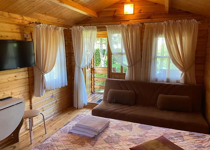 Sveciu Namai Dzukai *