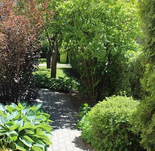 Sveciu Namai Dzukai Παλάγκα