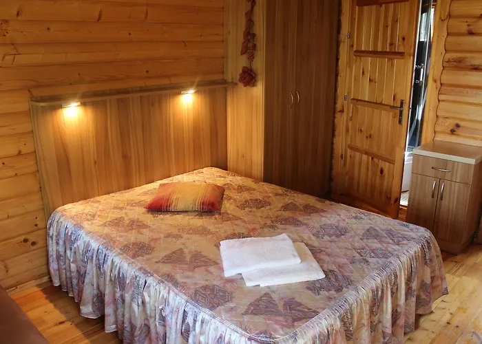 Sveciu Namai Dzukai *